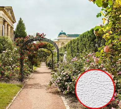 Фотообои Divino