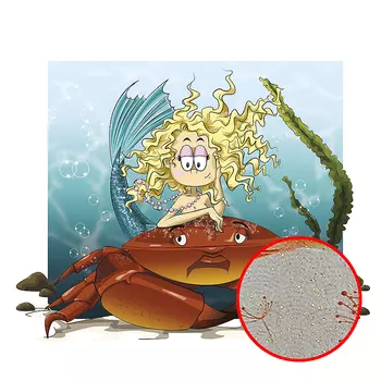 Фреска детская Ortograf