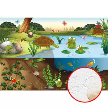 Фреска детская Ortograf