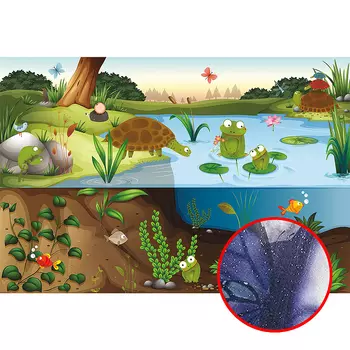 Фреска детская Ortograf