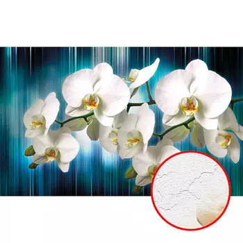 Фреска Ortograf