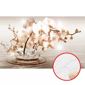 Фреска Ortograf