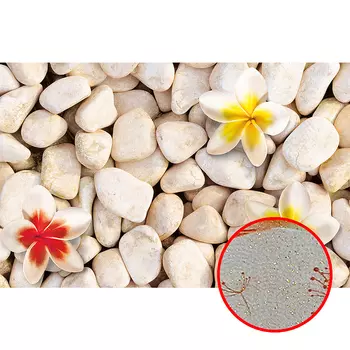 Фреска Ortograf