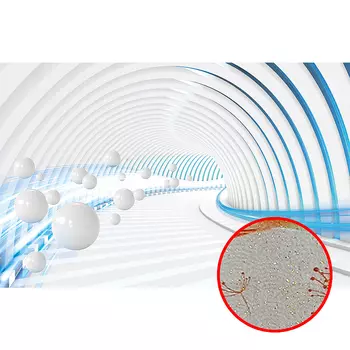 Фреска Ortograf