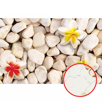 Фреска Ortograf