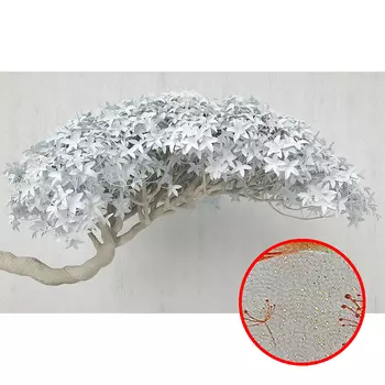 Фреска Ortograf