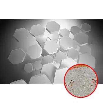 Фреска Ortograf