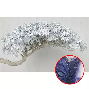 Фреска Ortograf