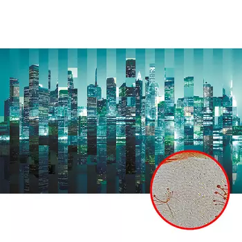 Фреска Ortograf