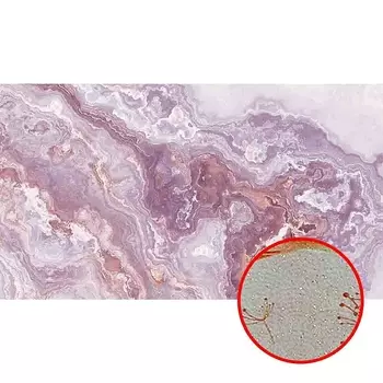 Фреска Ortograf