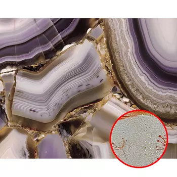 Фреска Ortograf