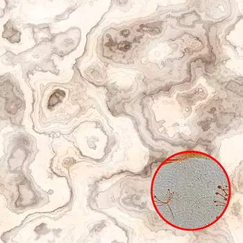 Фреска Ortograf