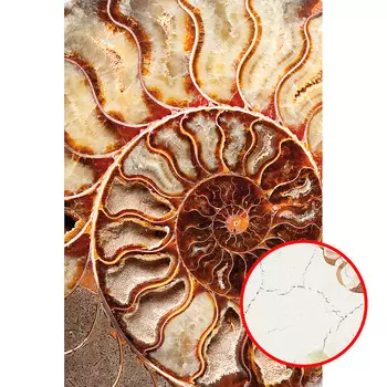 Фреска Ortograf