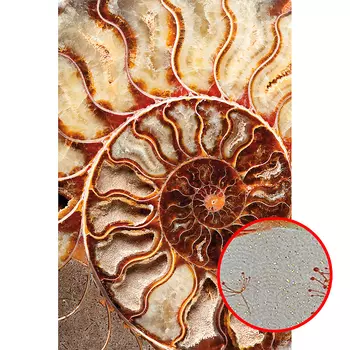 Фреска Ortograf