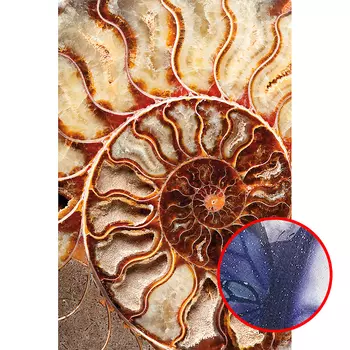 Фреска Ortograf