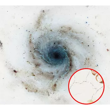 Фреска Ortograf