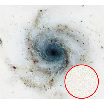 Фреска Ortograf