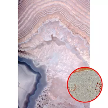 Фреска Ortograf