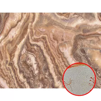 Фреска Ortograf