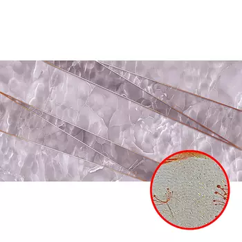 Фреска Ortograf