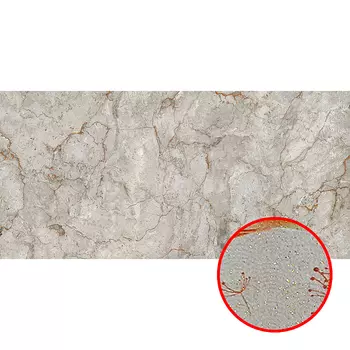 Фреска Ortograf