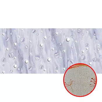 Фреска Ortograf