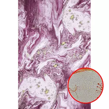 Фреска Ortograf