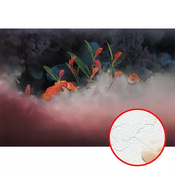 Фреска Ortograf