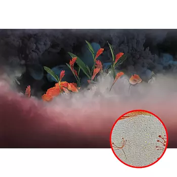 Фреска Ortograf