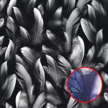 Фреска Ortograf