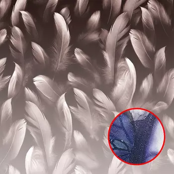 Фреска Ortograf