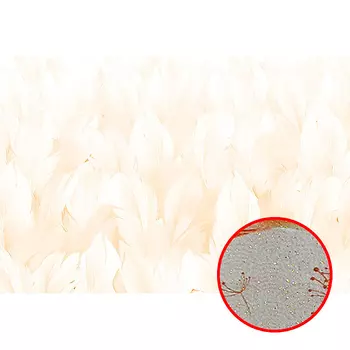 Фреска Ortograf