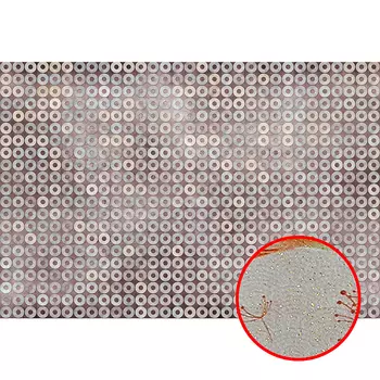 Фреска Ortograf