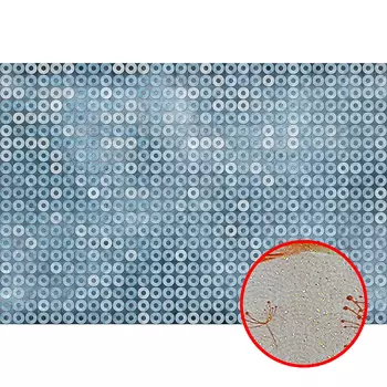 Фреска Ortograf