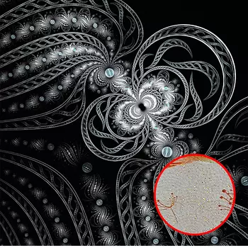 Фреска Ortograf