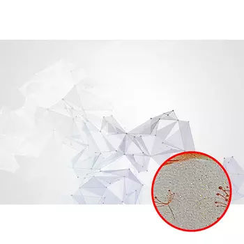 Фреска Ortograf