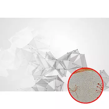 Фреска Ortograf