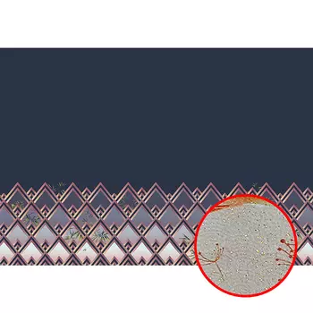 Фреска Ortograf