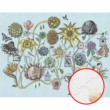 Фреска Ortograf