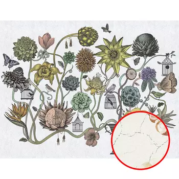 Фреска Ortograf