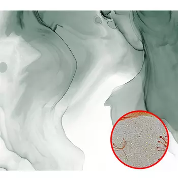 Фреска Ortograf