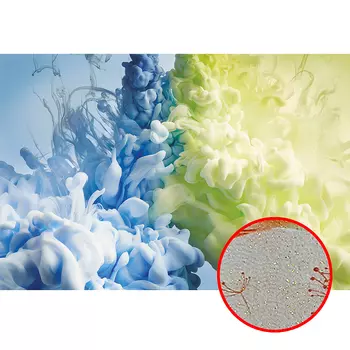 Фреска Ortograf