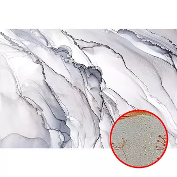 Фреска Ortograf