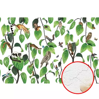 Фреска Ortograf