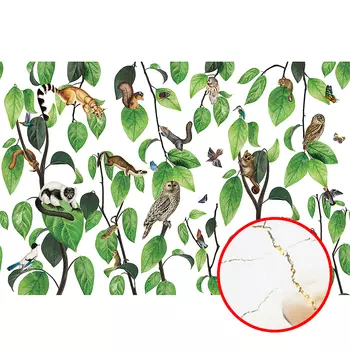 Фреска Ortograf