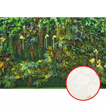 Фреска Ortograf