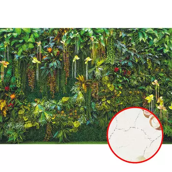 Фреска Ortograf