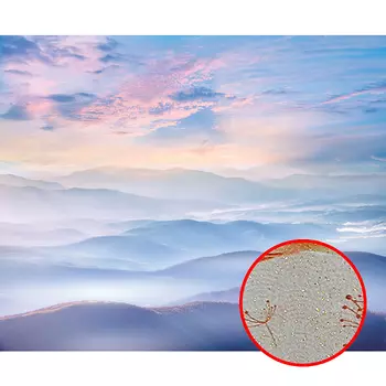 Фреска Ortograf