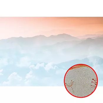 Фреска Ortograf