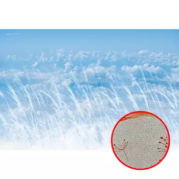 Фреска Ortograf